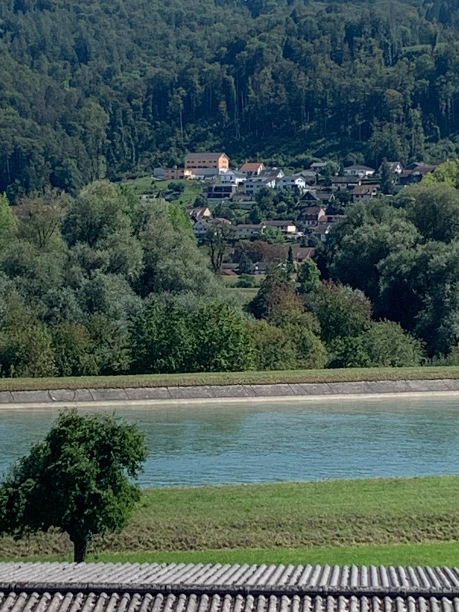 Hochrhein Ferienwohnung Albbruck Exterior foto