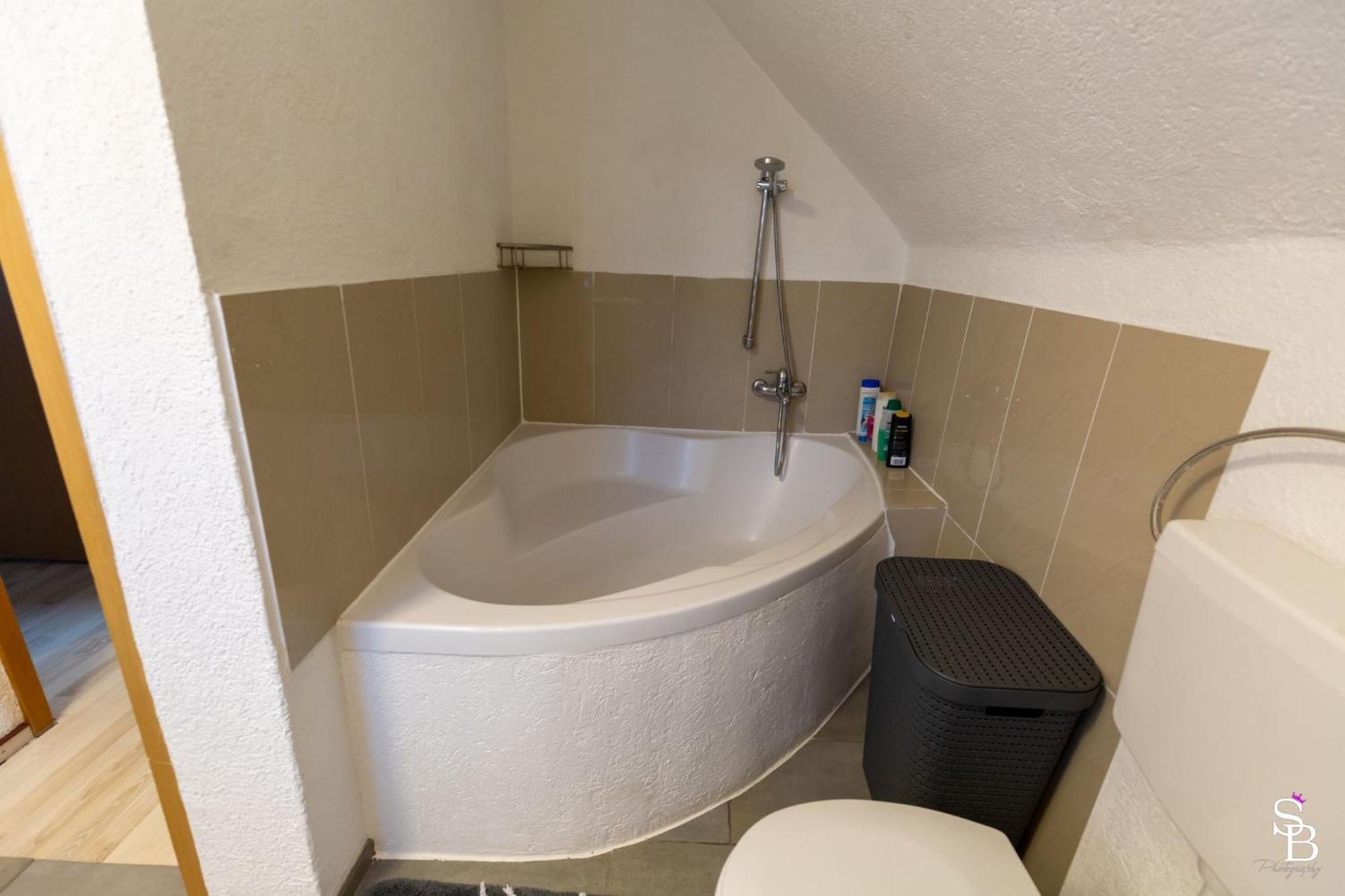Hochrhein Ferienwohnung Albbruck Exterior foto